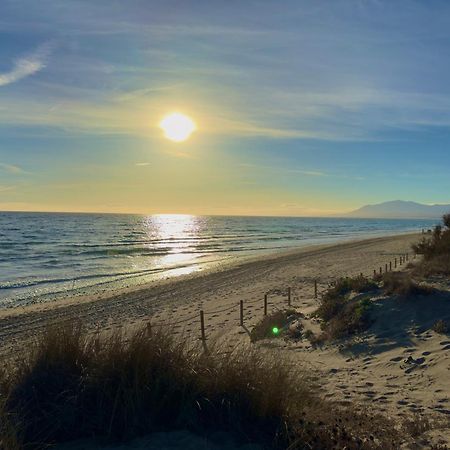 Apartamento Marbella Alicate Beach Kültér fotó